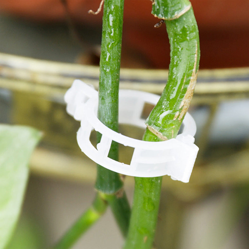 🔥72% OFF🌱Plant Support Clips