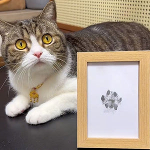 Pet Paw Printing Kit