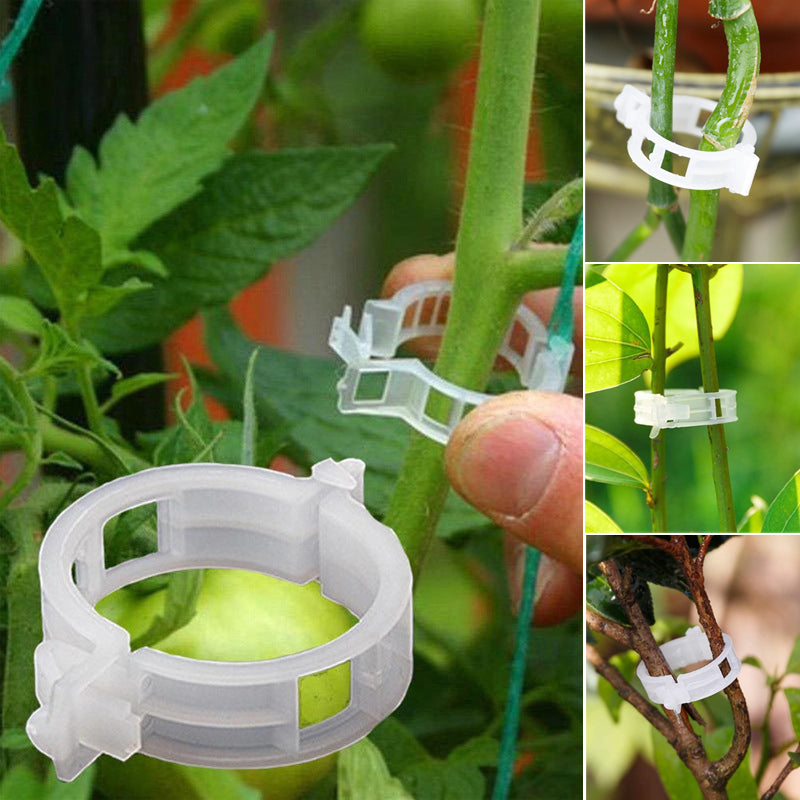 🔥72% OFF🌱Plant Support Clips