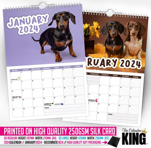 Cheeky Dachshunds - 2024 Wall Calendar