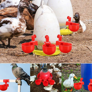 Automatic Poultry Drinker